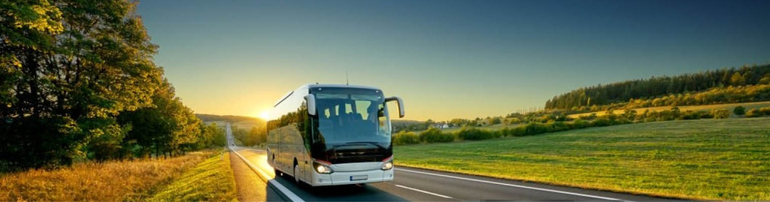 bus image