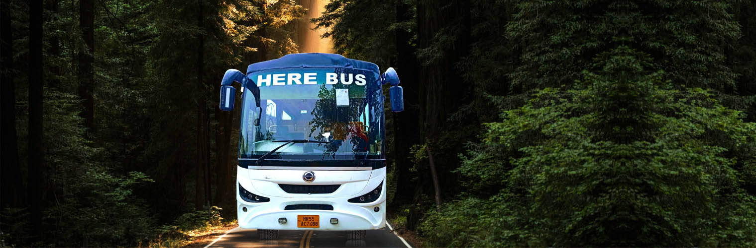 bus image