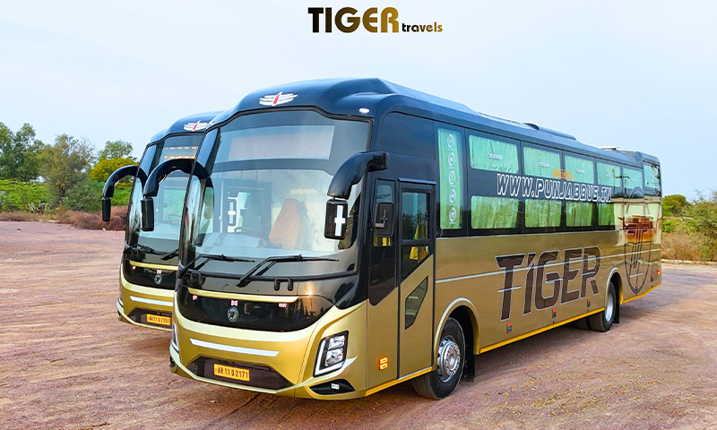 bus gallery