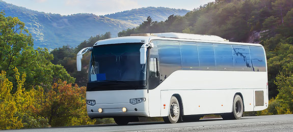 bus image1