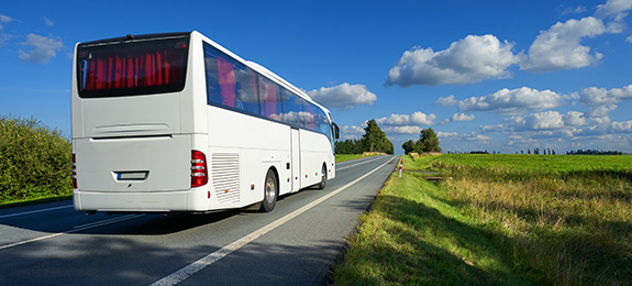 bus image2